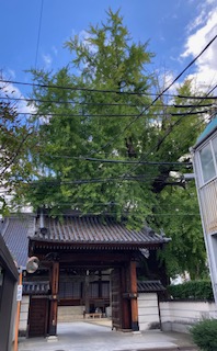 お盆休みのお知らせの画像